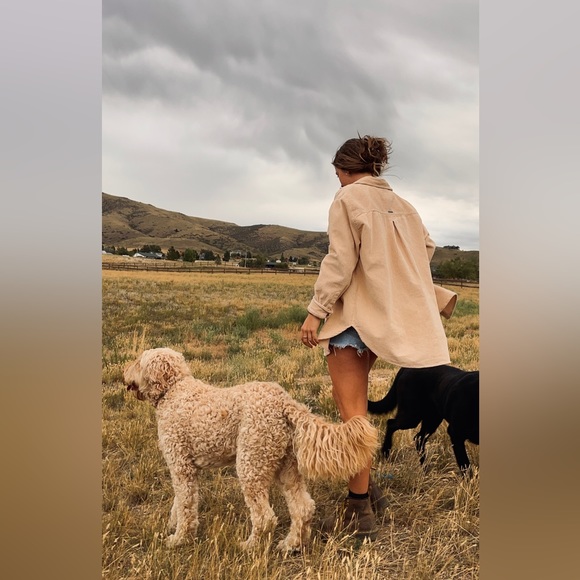 Meet your Posher, Riley - Picture 1 of 1